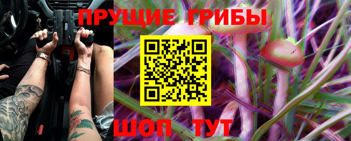 Псилоцибиновые грибы мицелий Светлоград