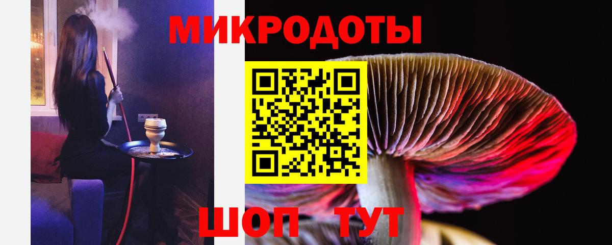 Галлюциногенные грибы Psilocybine cubensis  Вход с VPN  Светлоград 