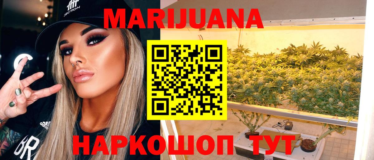 Конопля Bruce Banner Светлоград